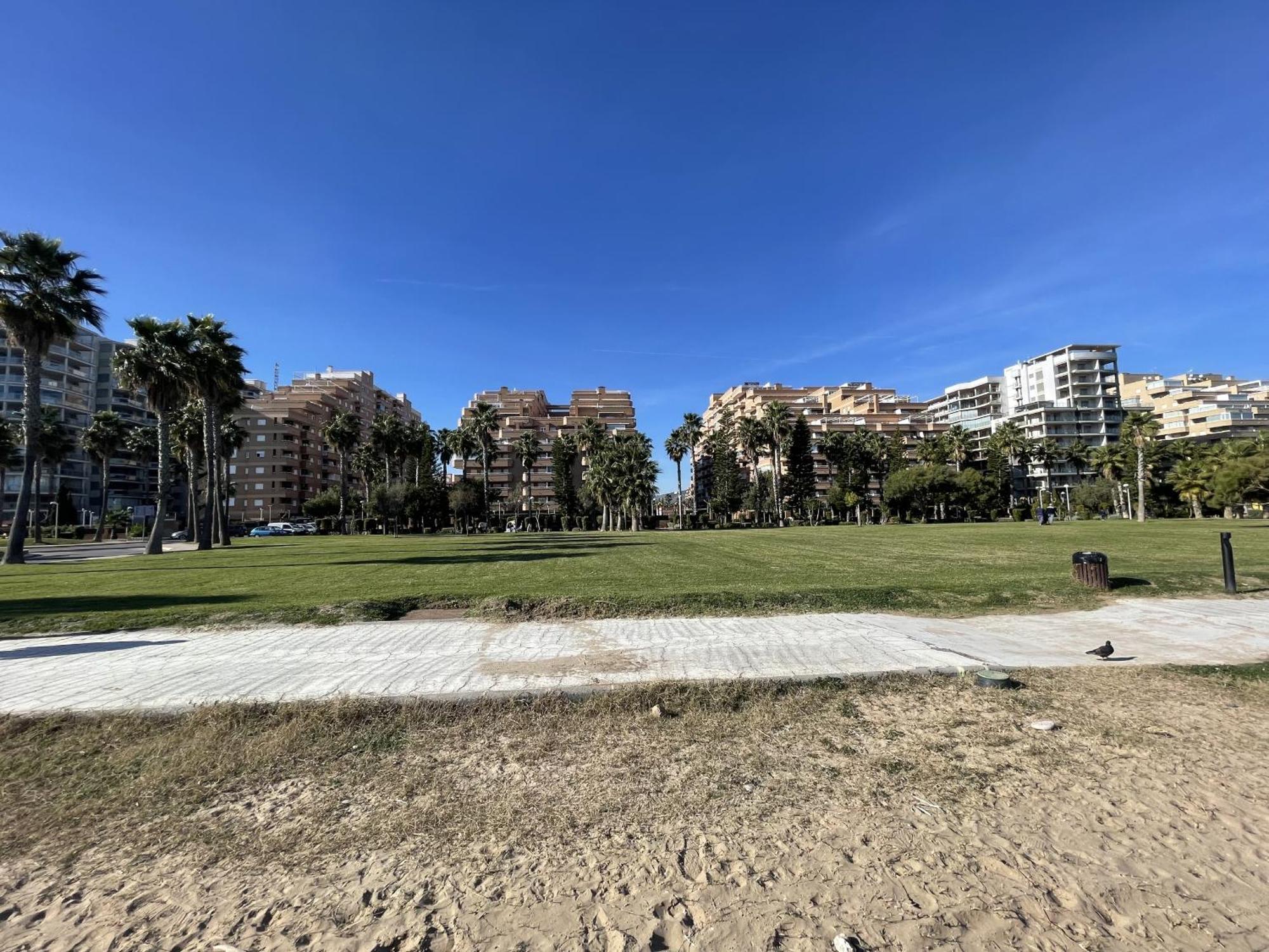 شقة Playa Coral II 3 Nº 1054 أوروبيسا ذيل مار الغرفة الصورة